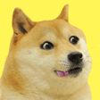 2048 doge